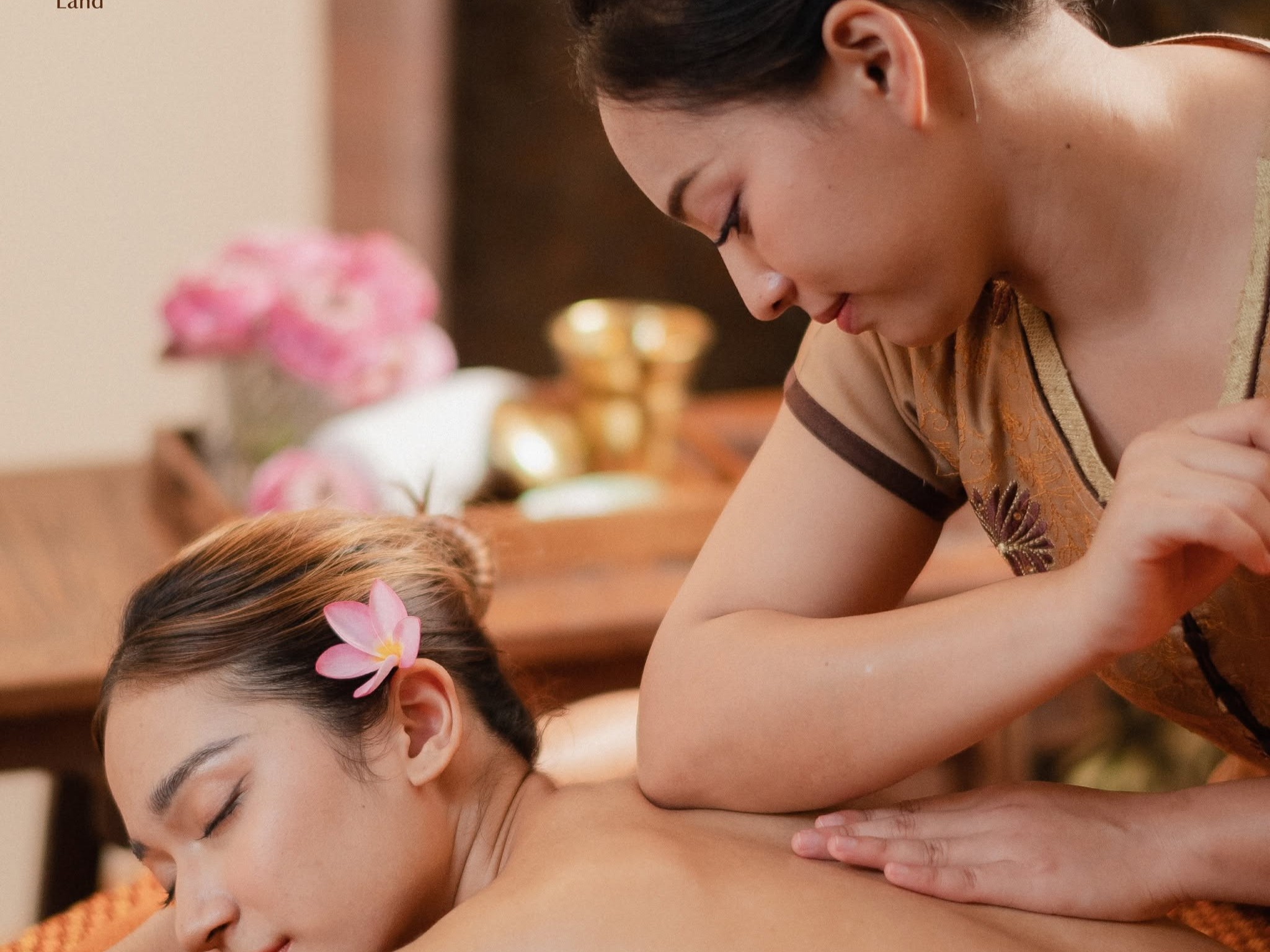 Health Land: Therapeutic Massage (60 Min) 
